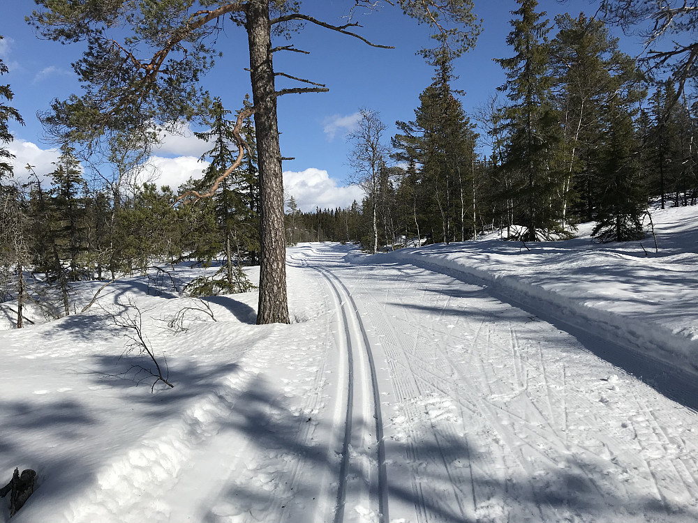 Fine løyper