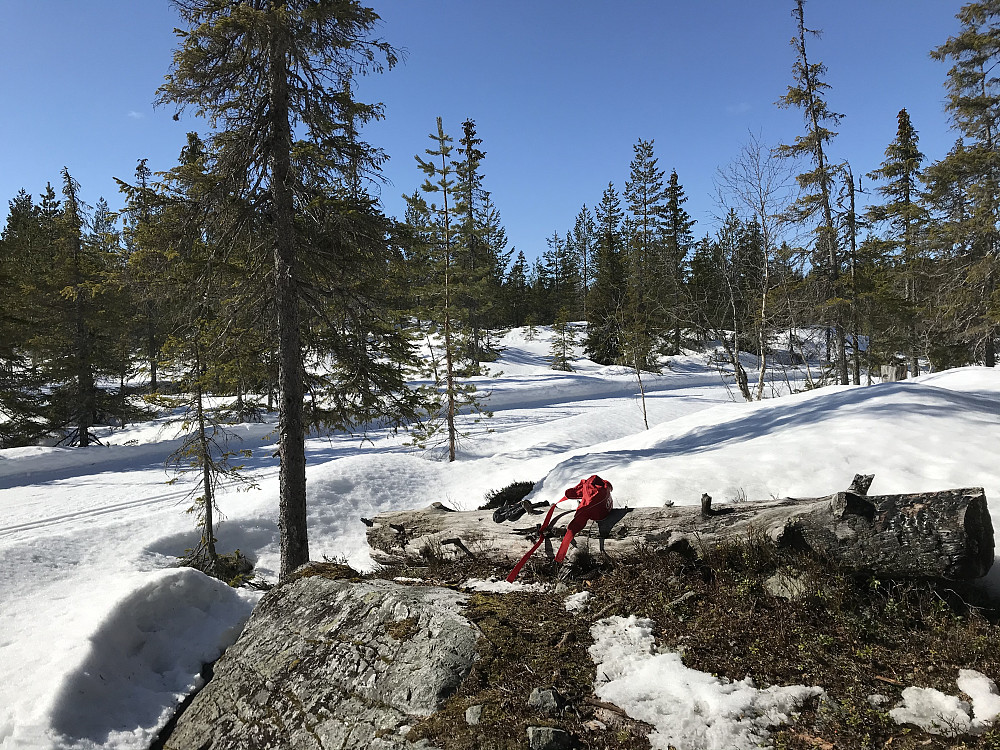Satt en stund i sola ved myra ovenfor Solbakken