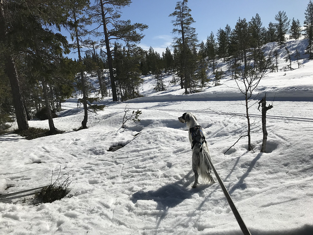En flott dag