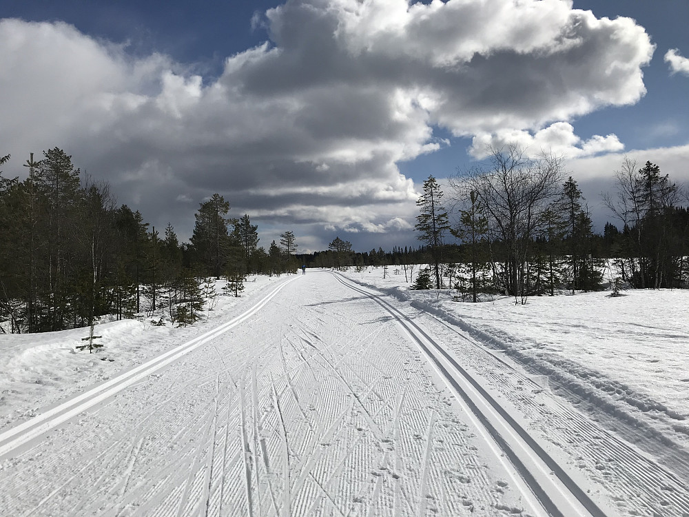 Fint på Rødgardsmyra i dag, men sur vind