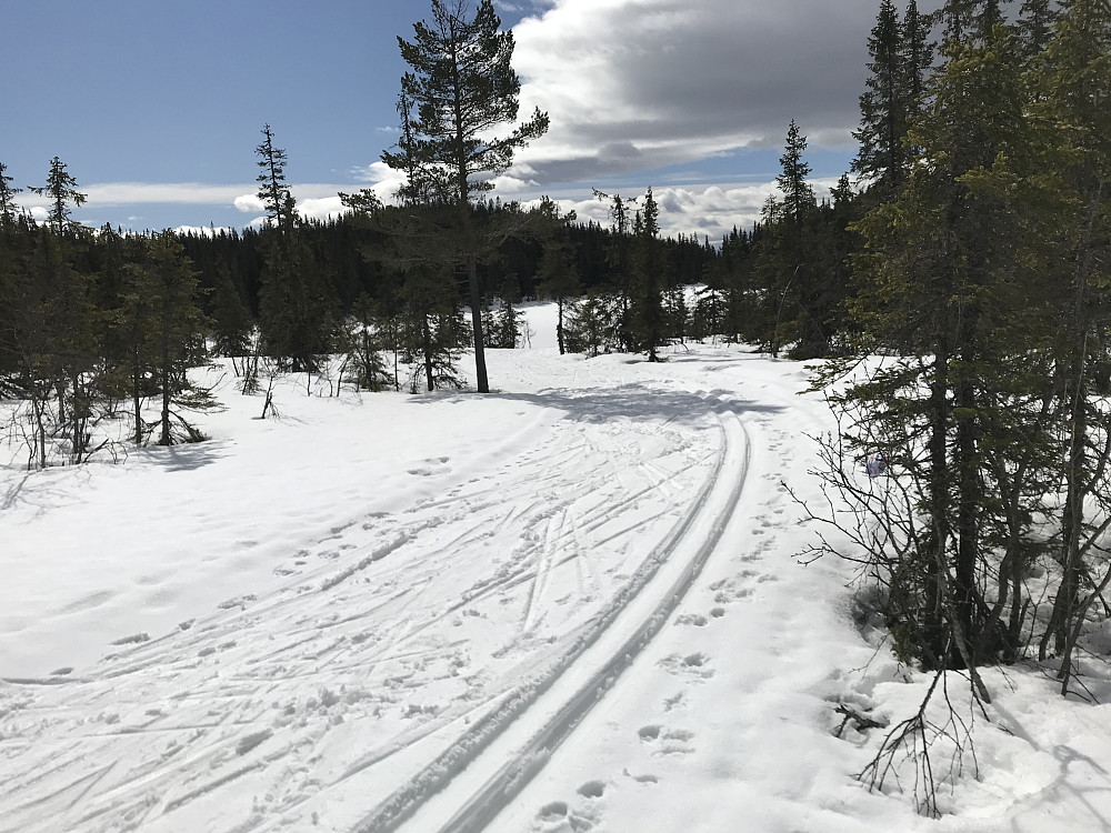 Ned mot Koltjernet