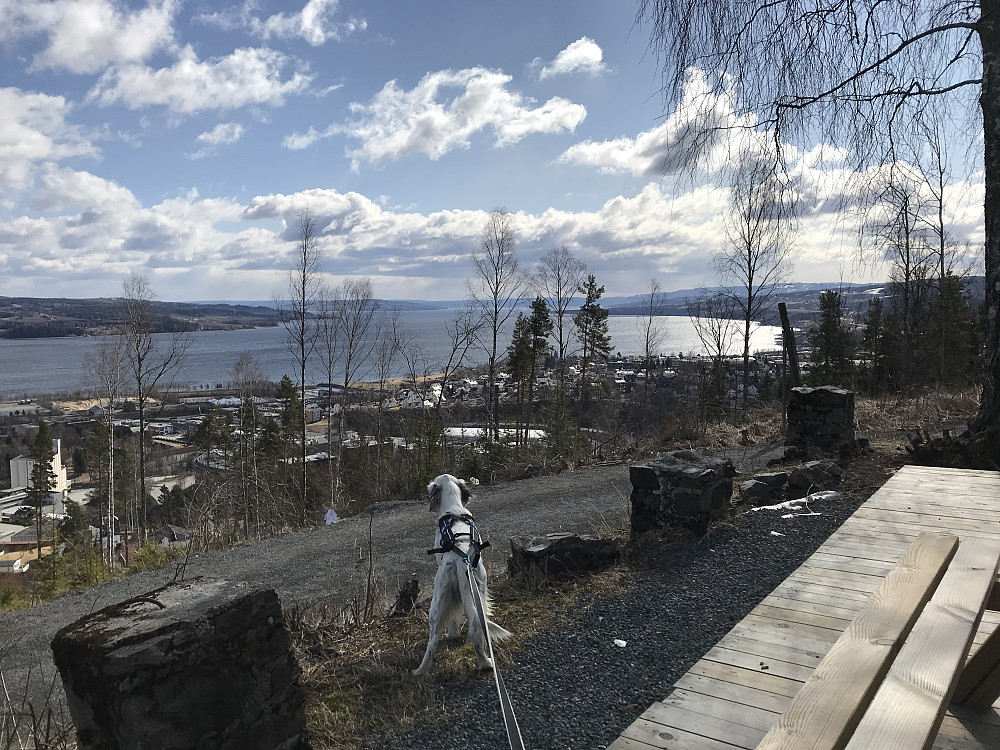 Utsikt sørover Mjøsa