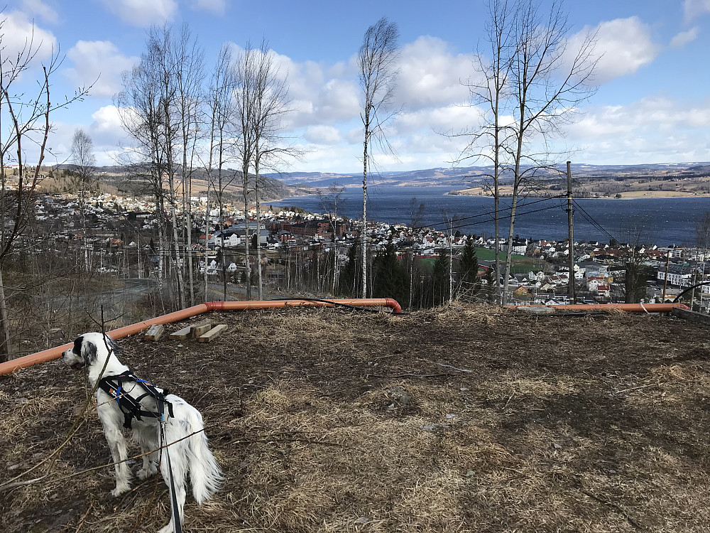 Utsikt nordover byen og Mjøsa