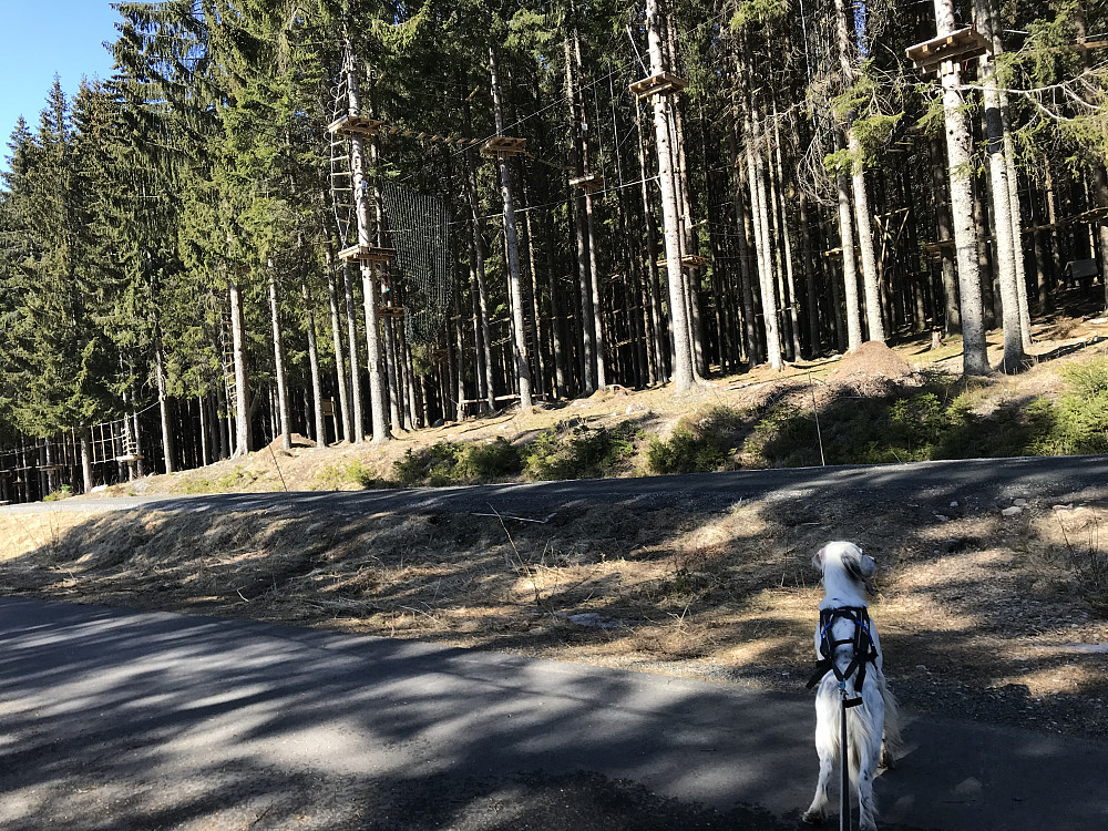 Ved klatreparken