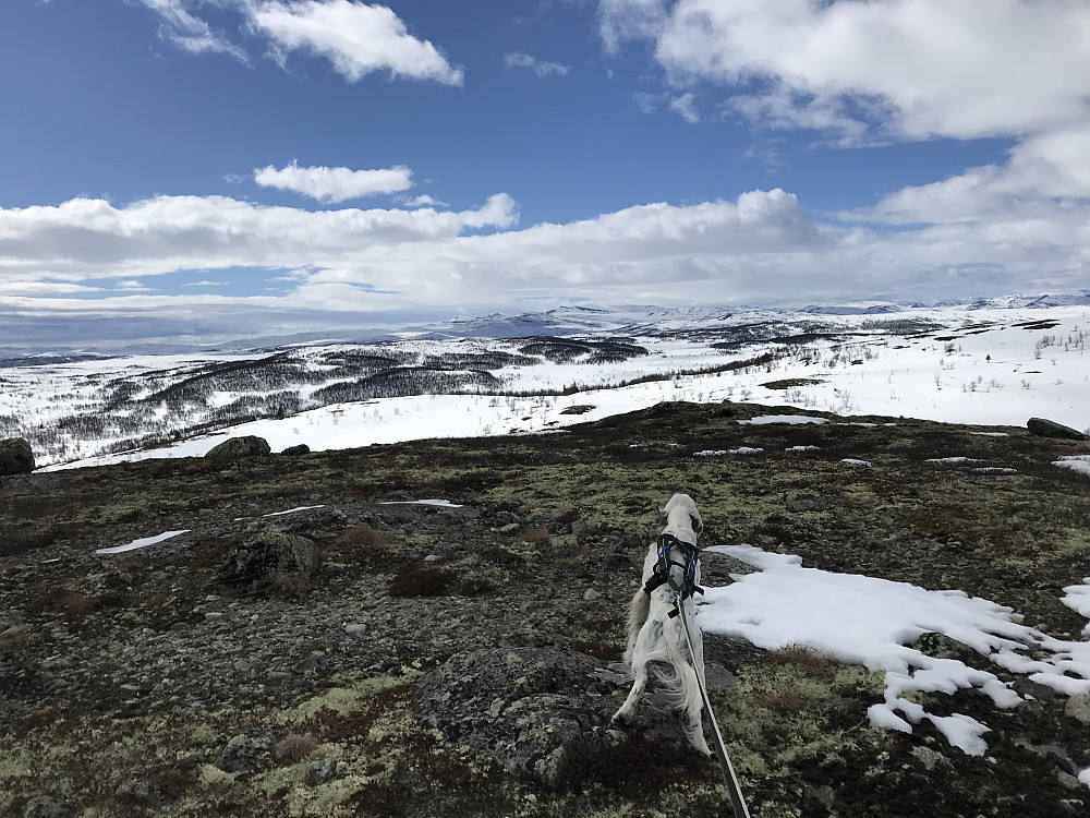 Vetafjellet sør