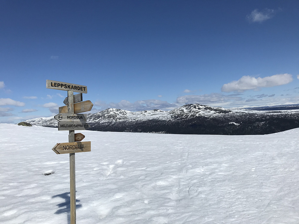 Leppskardet. Gråhøer bak