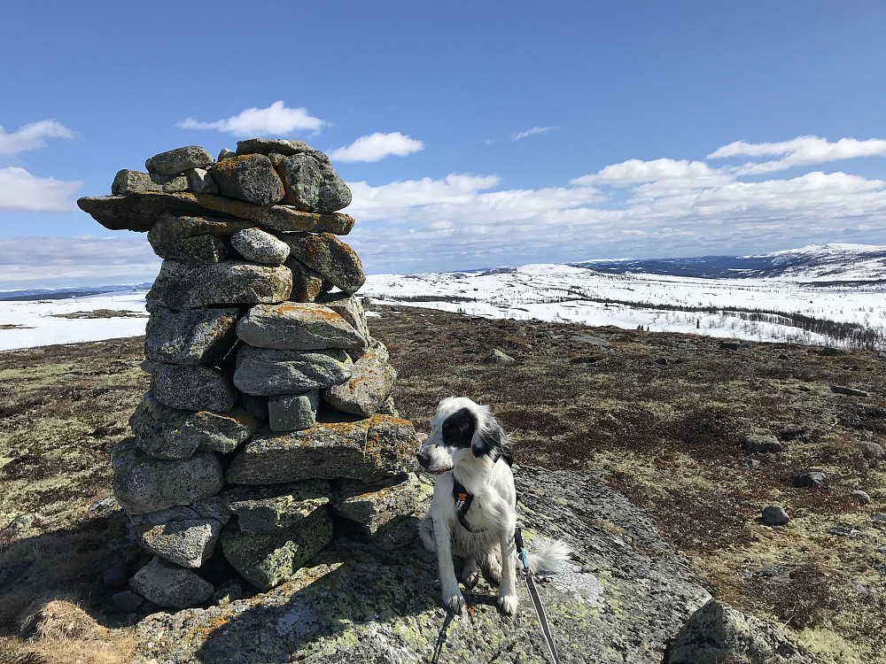 Vetafjellet sør