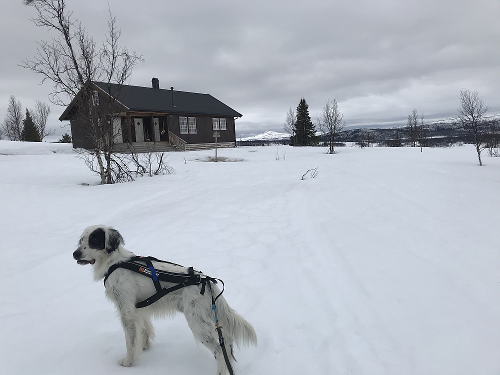 Vestfjellhytta