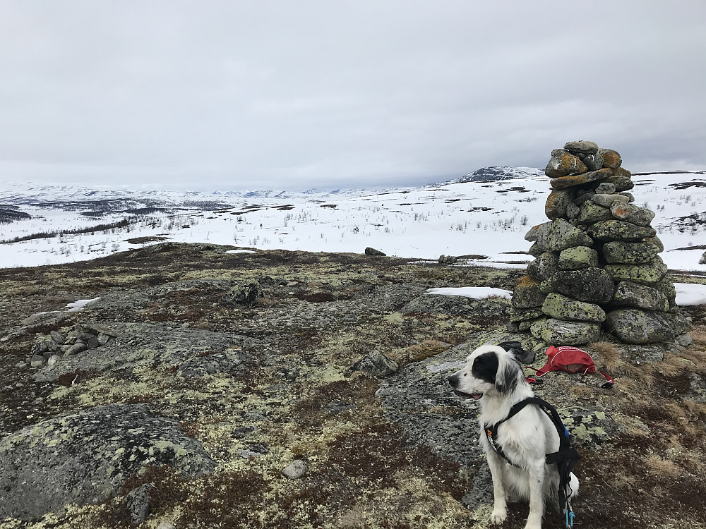 Vetafjellet sør