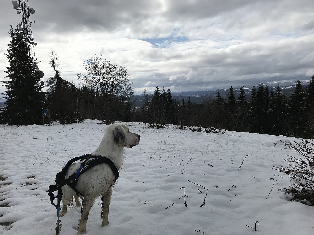 Vinter på Bergstoppen i dag