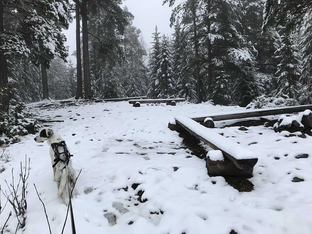 Vinterlig på Knapphaugen i dag