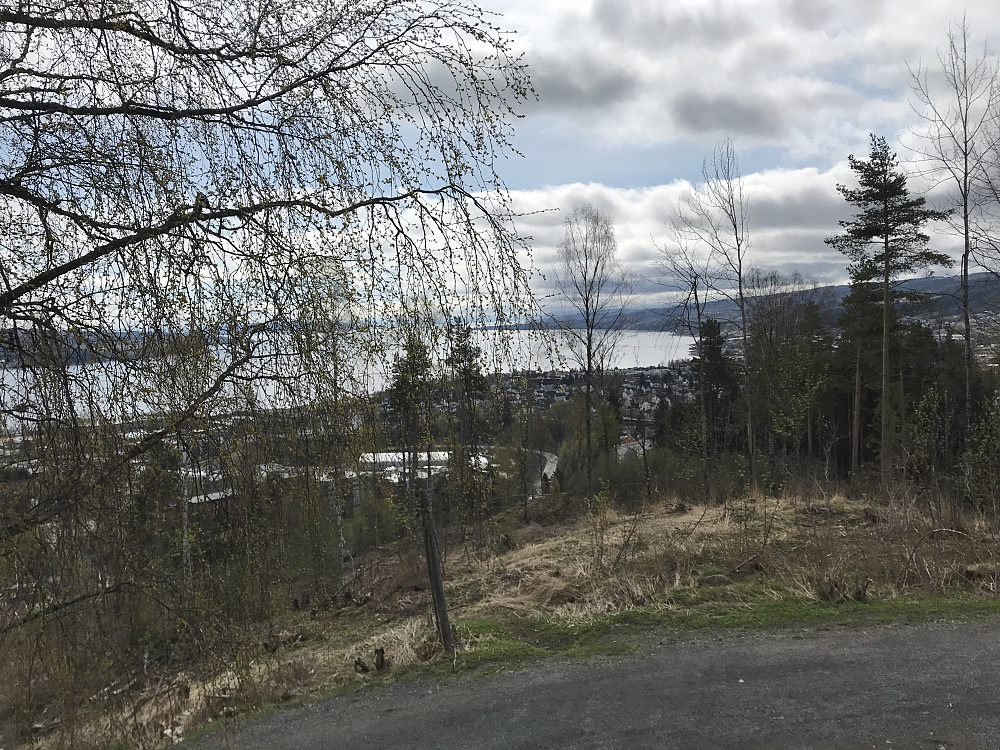 Vår på Hovdetoppen