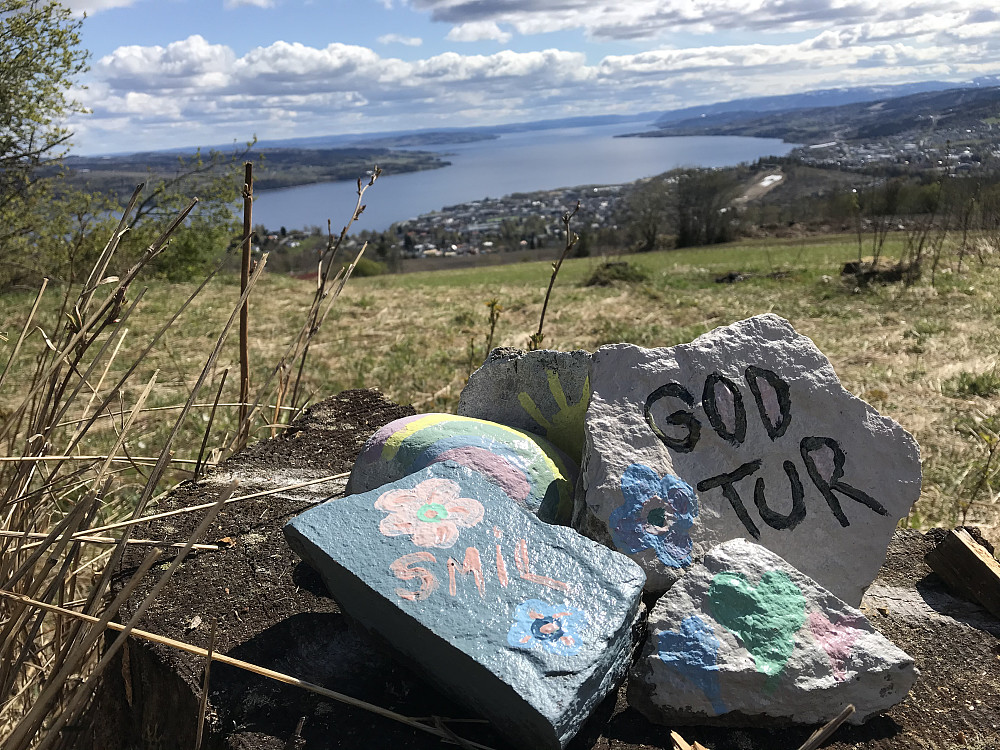 Barns coronaaktivitet på Gjøvik siden før påske, male steiner. De finnes overalt langs gater og stier, til glede og oppmuntring. I dag prydet disse en stubbe nedunder Bergstoppen.