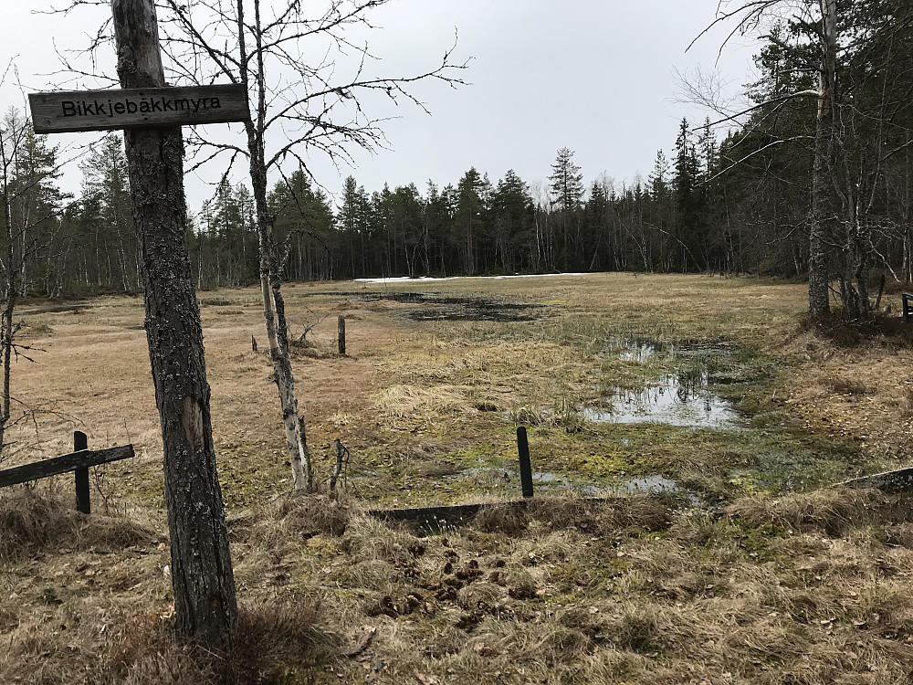 Bikkjebakkmyra