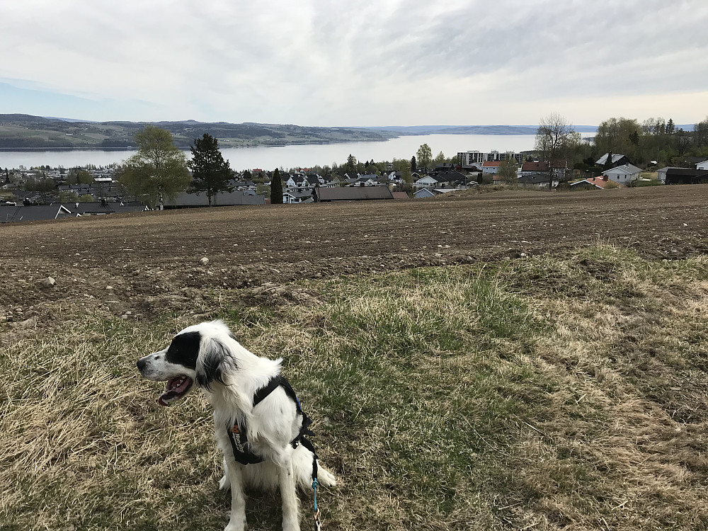 Utsikt sørover fra Topp, en gård vi gikk forbi, som ligger på toppen av åsen mellom Hunndalen og Kopperud