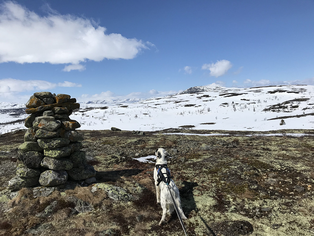 Vetafjellet sør