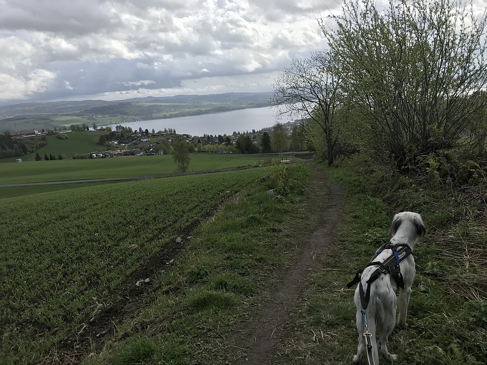 På tur ned langs Bergsjordet