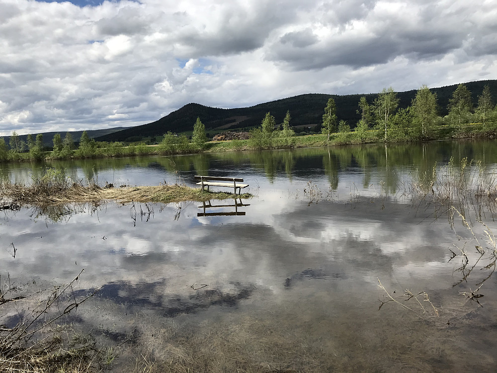 Mye vann i Glomma. Må svømme den som vil hvile på denne benken