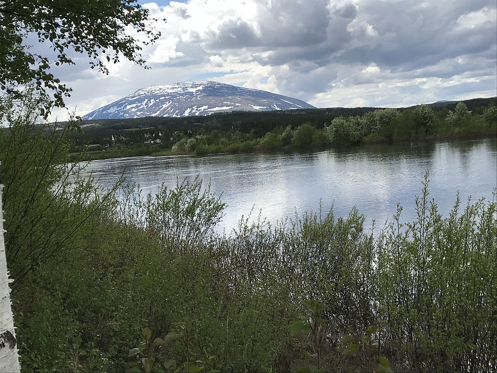 Fint langs Glomma