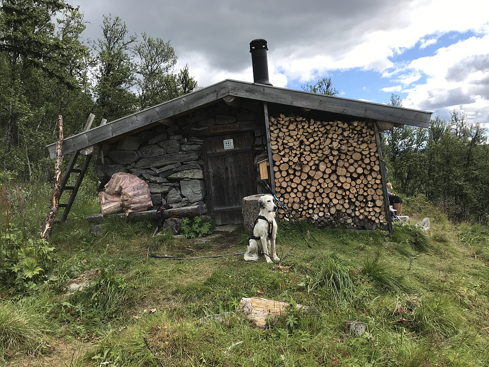 Røverhula