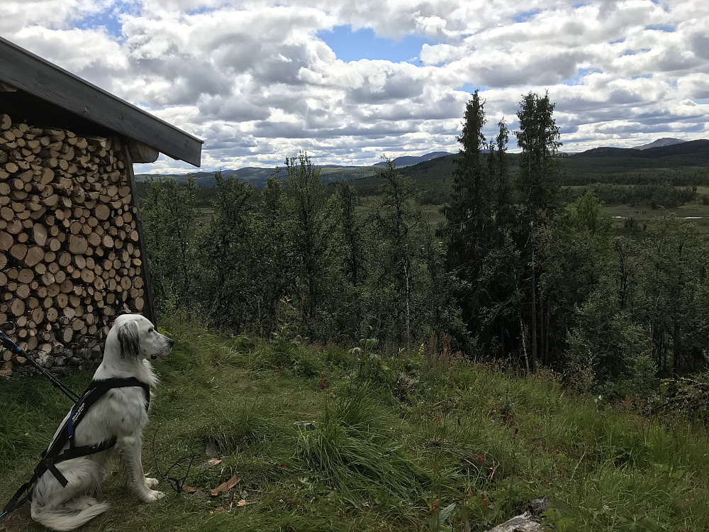 Røverhula
