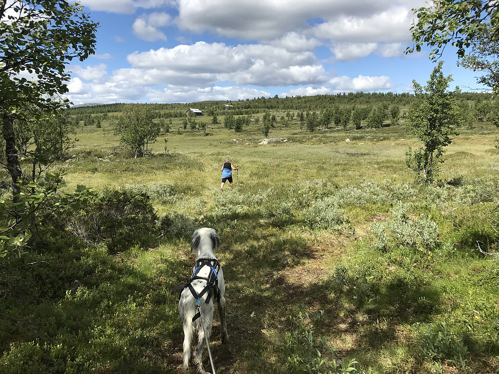 På tur tilbake mot Grytlia