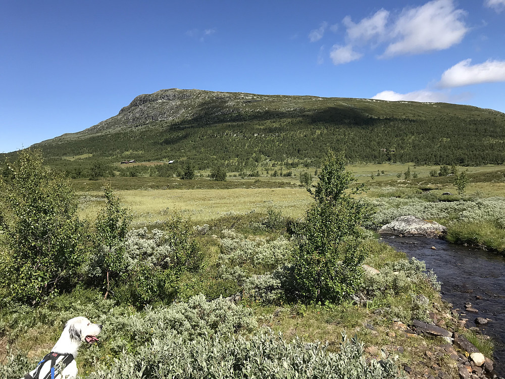 På tur mot dagens mål, Ongsjøfjellet