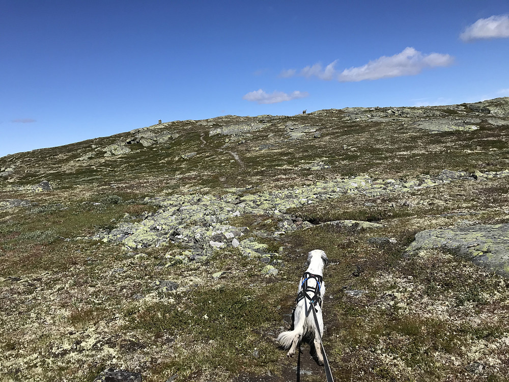 Snart på toppen