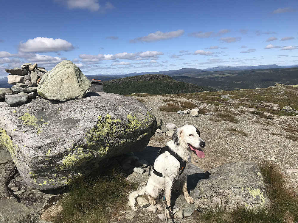 Ormtjernkampen