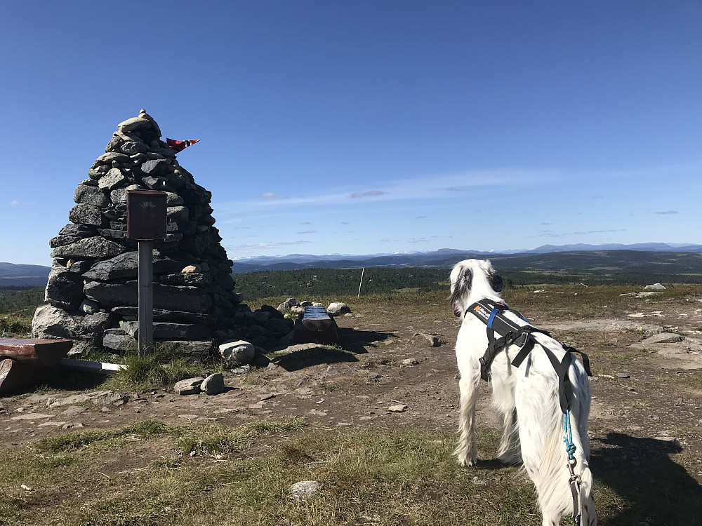 Hærfjellet