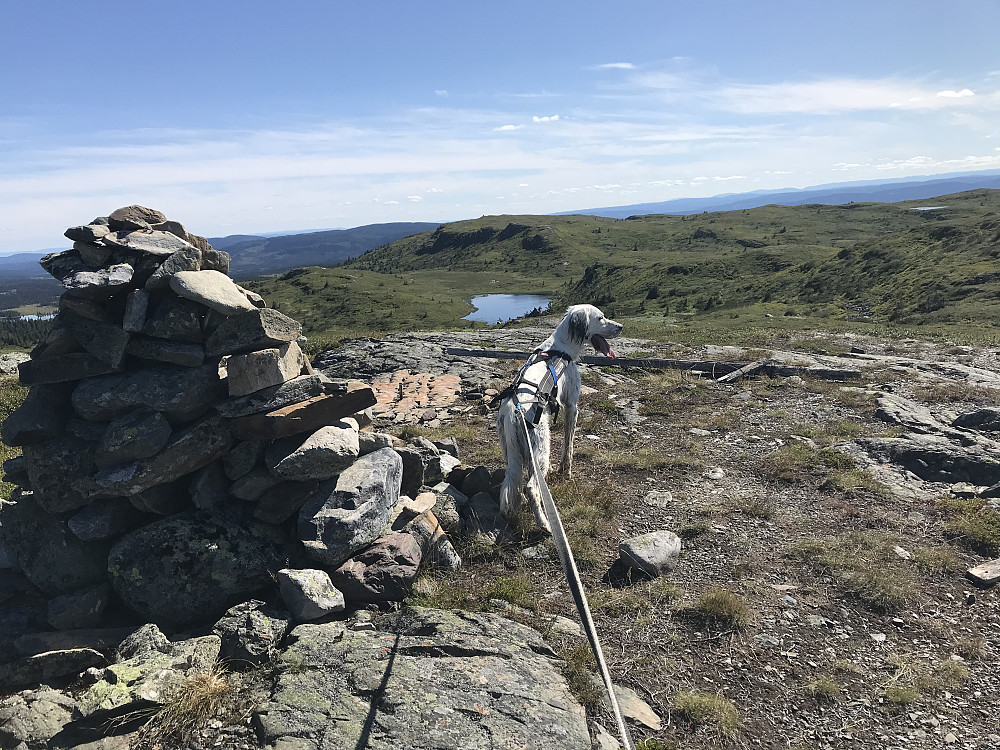 Myssmørhelje