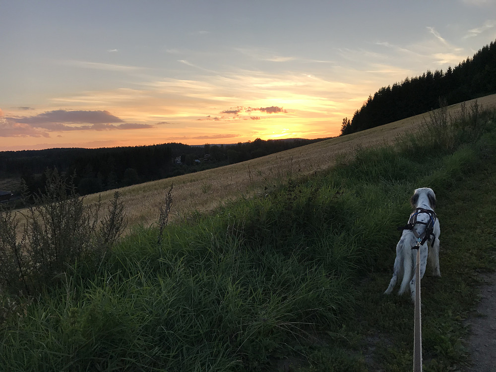 Fin kveldshimmel i dag. På tur opp mot Bergstoppen.