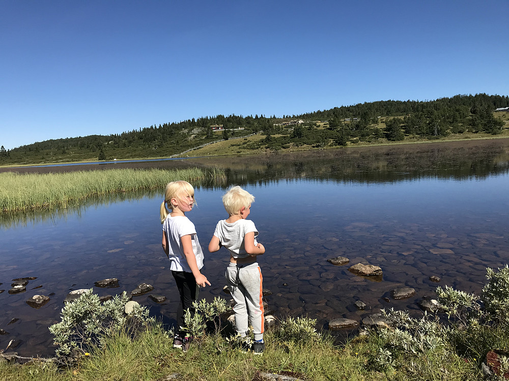 Ved Nysetervannet