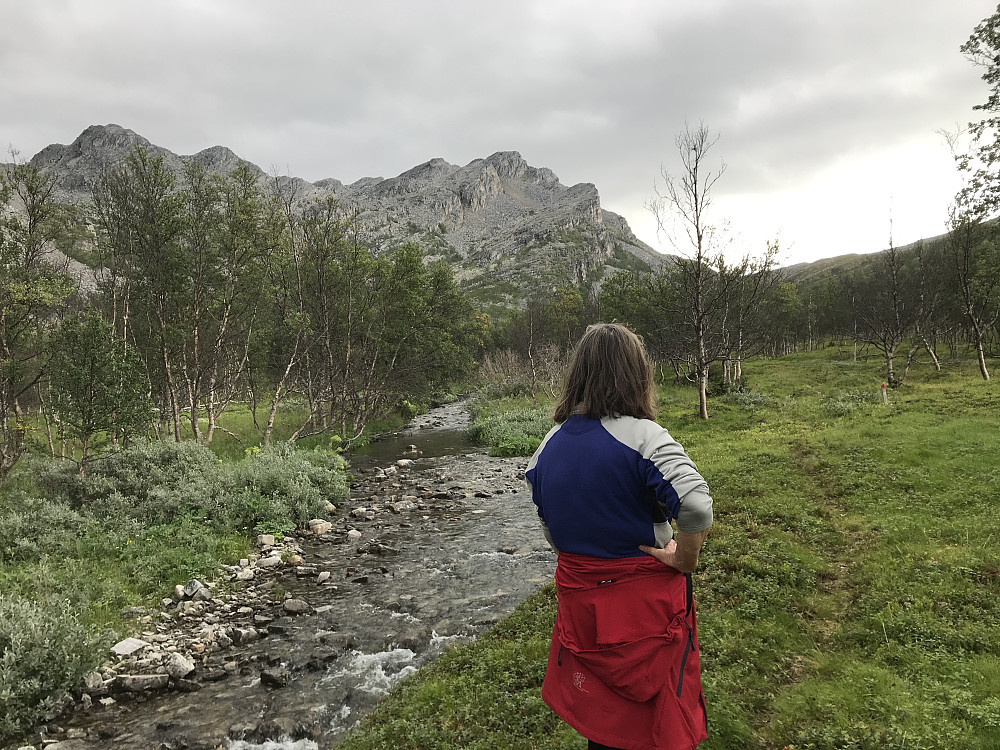 Innover Lillefjorddalen