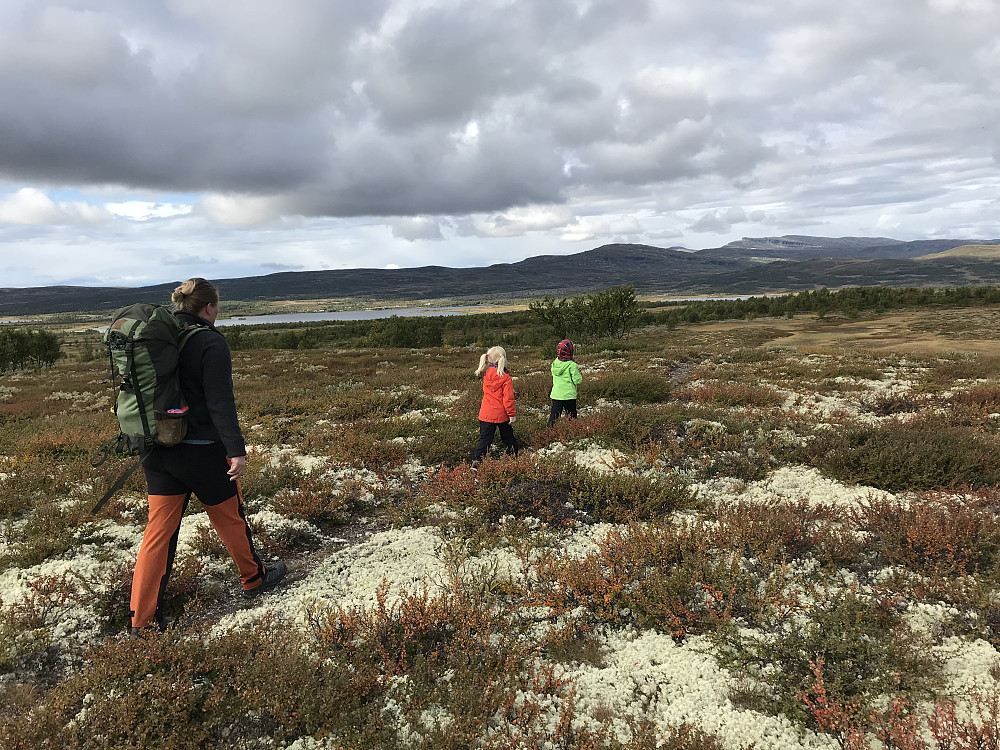 Ned fra Skomakeråsen. Tvillingene trives på tur, og er flinke til å gå.