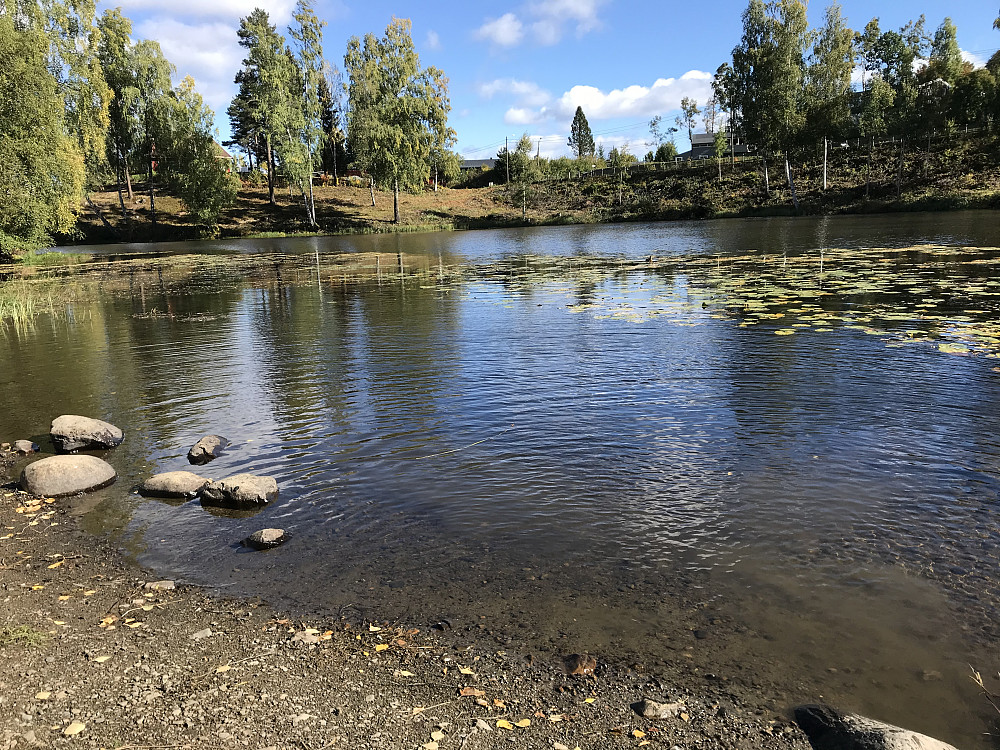 Bassengparken