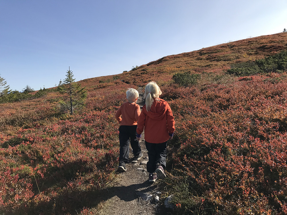 Ut på tur, aldri sur