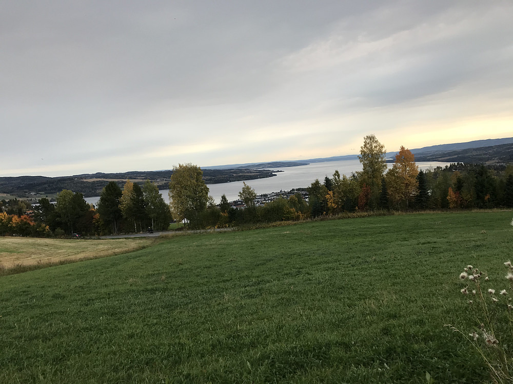 På tur hjem