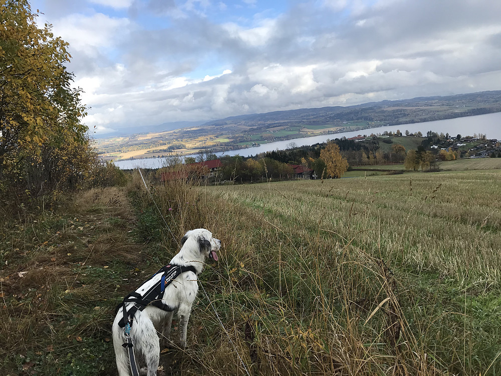 Bergsjordet, mot Berg, Tranberg og Mjøsa
