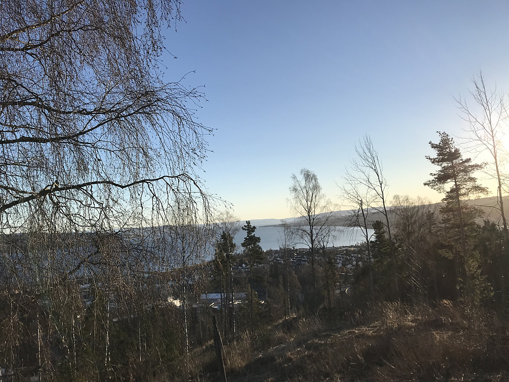 Fra Hovdetoppen