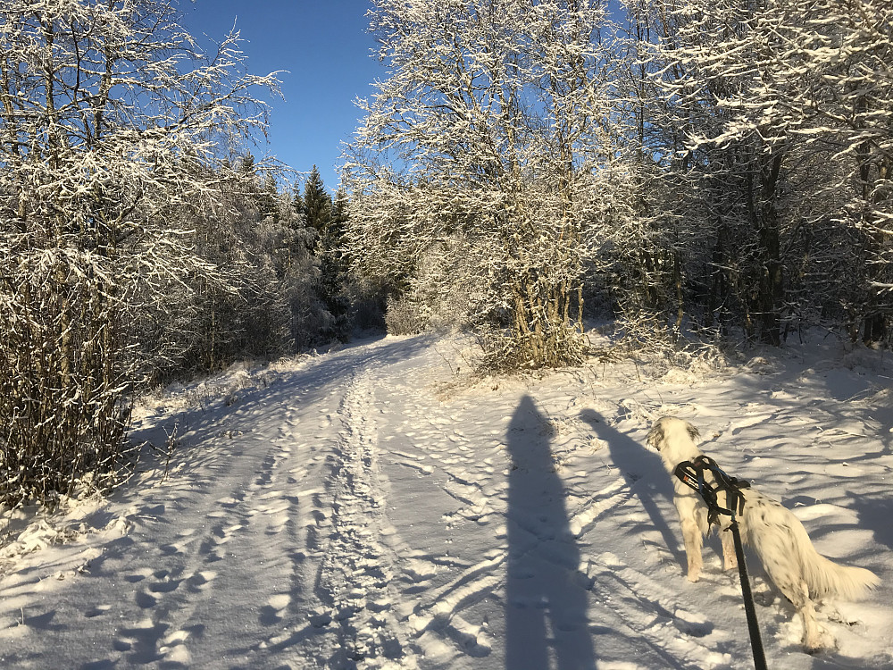 Fint på Bergstoppen i dag