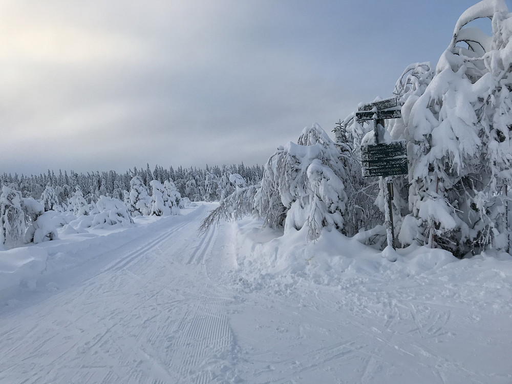 Rødgardsmyra løypekryss