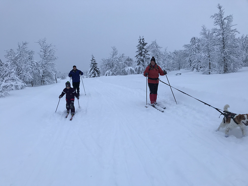 Synnøve, Jan Egil og tvillingene var også ute på tur