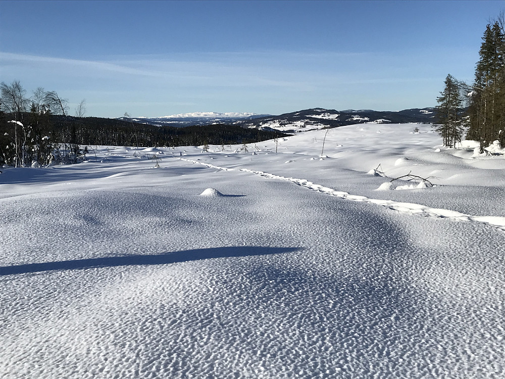 Utsikt til Synnfjellet fra skiløypa ned til Gravåsen