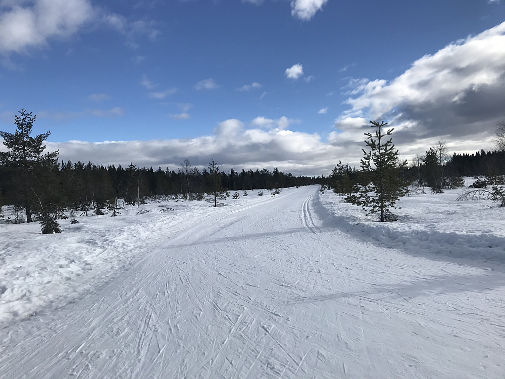 Rødgardsmyra, retning Blivgodt