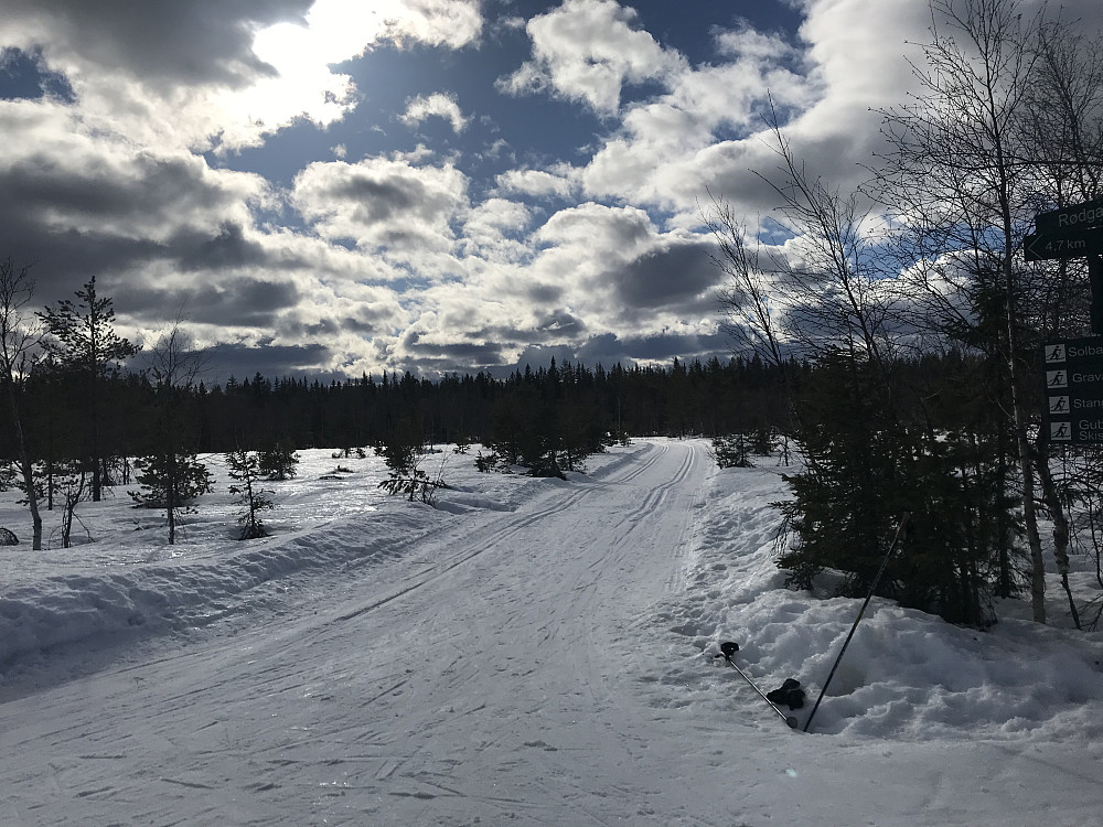 Rødgardsmyra, Haugrunden