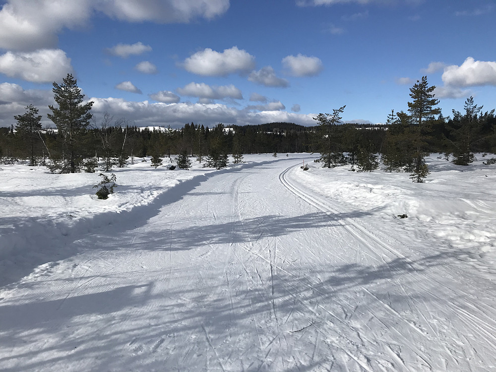 Rødgardsmyra, mot Åslendet