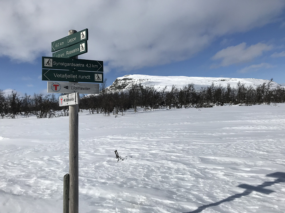 Løypekrysset ovenfor Ongsjølia