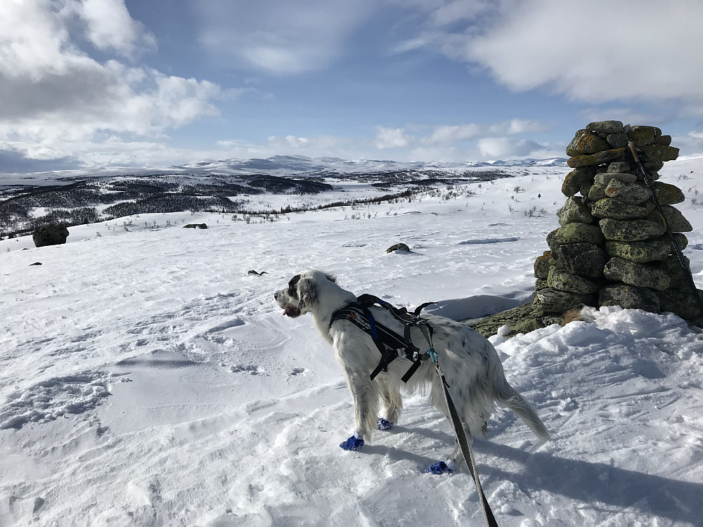 Vetafjellet sør