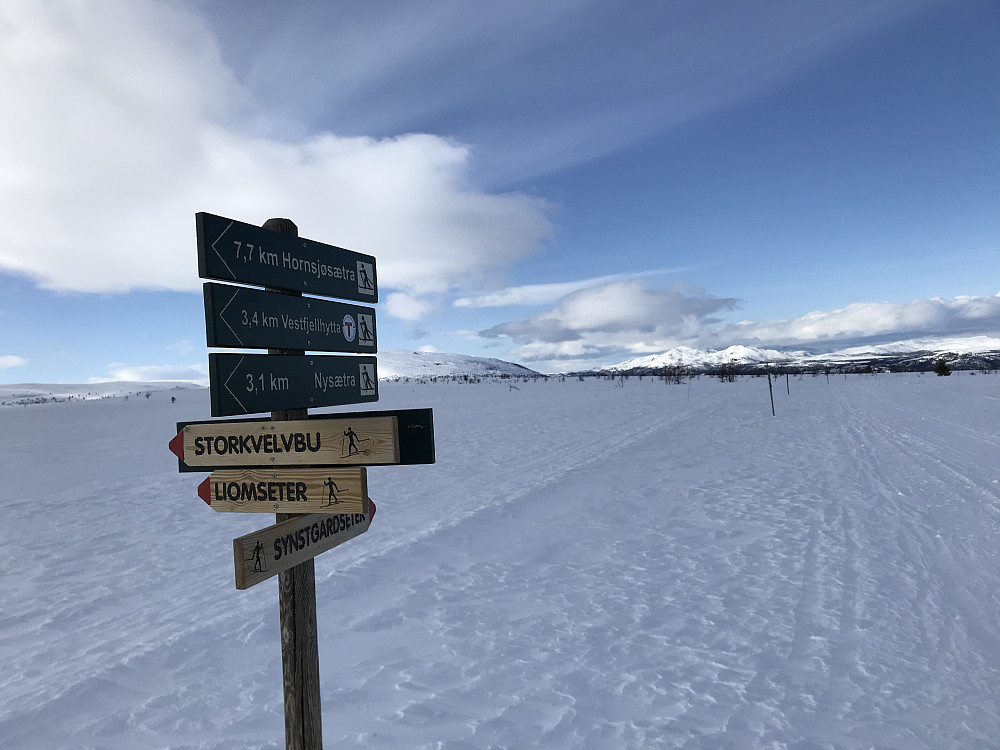 Nye løypekrysset ved Storhaugen